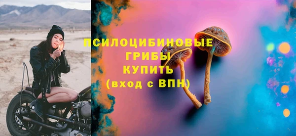 эйфоретик Бородино