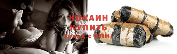 эйфоретик Бородино