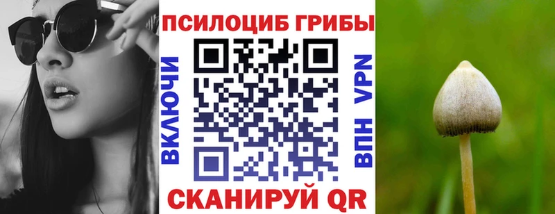 Галлюциногенные грибы GOLDEN TEACHER  ссылка на мегу онион  Жирновск  где найти наркотики 